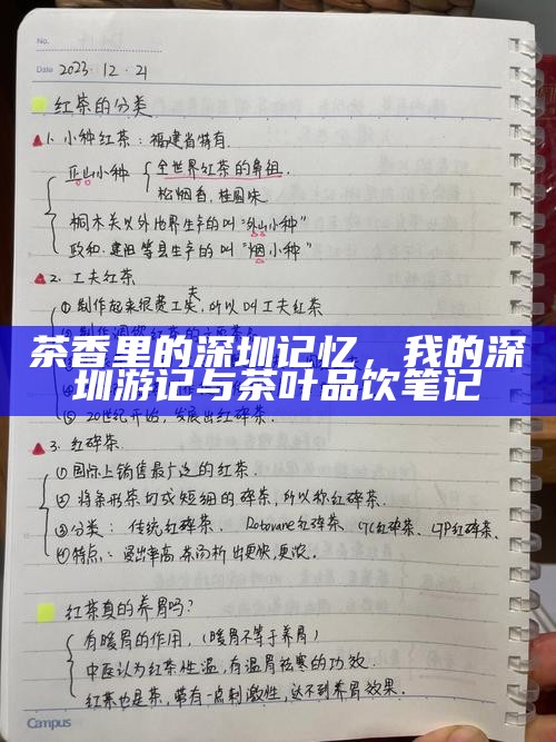 茶香里的深圳记忆，我的深圳游记与茶叶品饮笔记