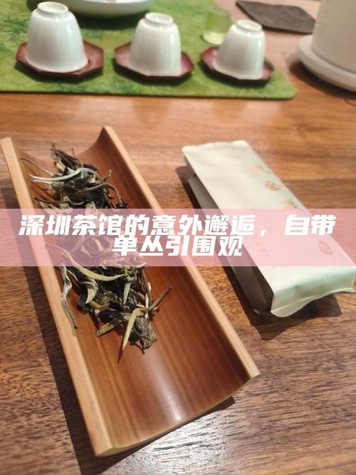 深圳茶馆的意外邂逅，自带单丛引围观